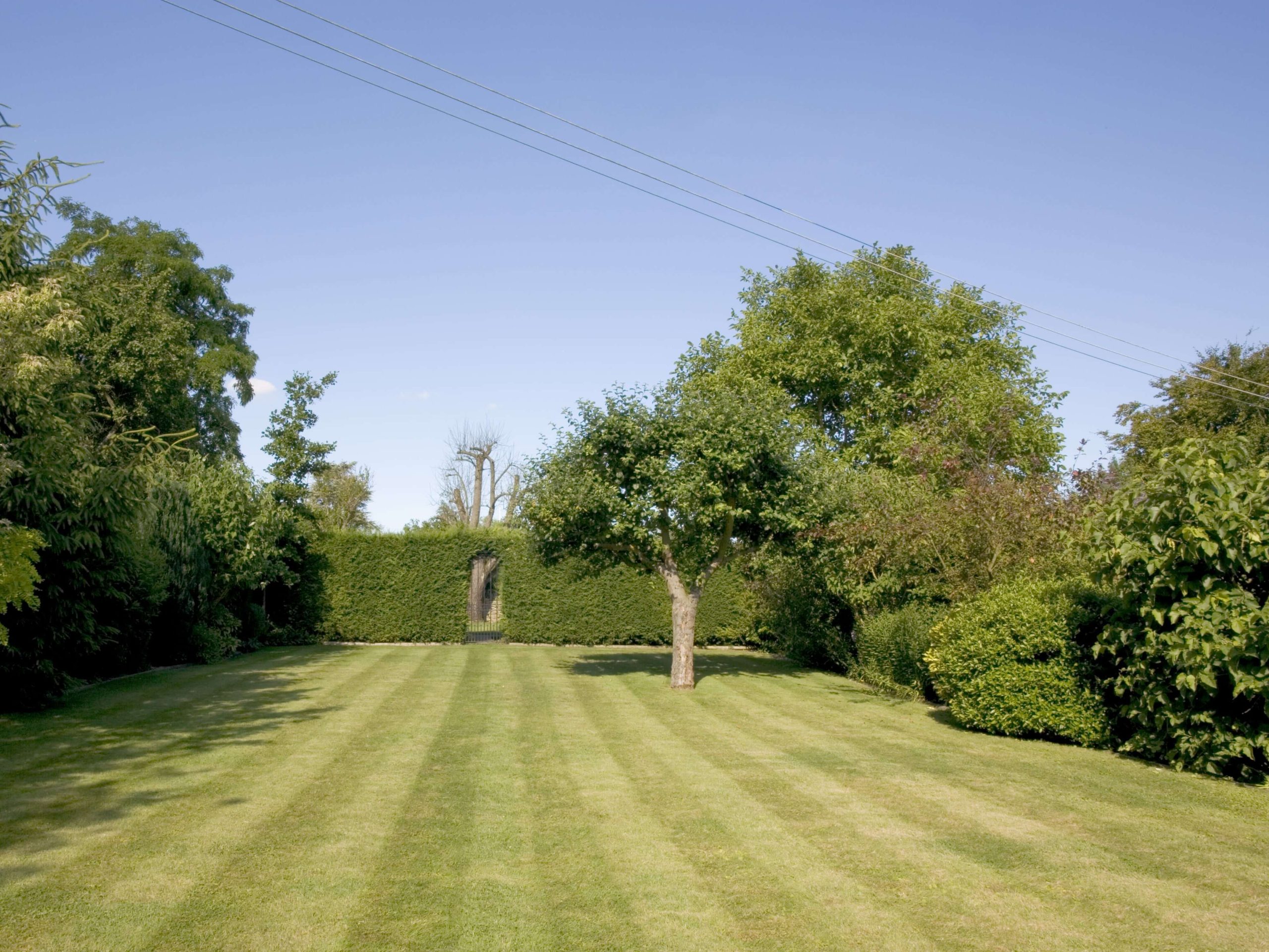 Lawn Mowing/Hedge Trimming Putney SW15
