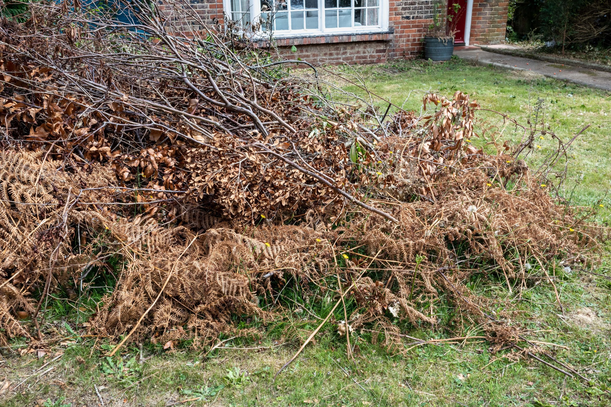 Garden Clearance Putney SW15
