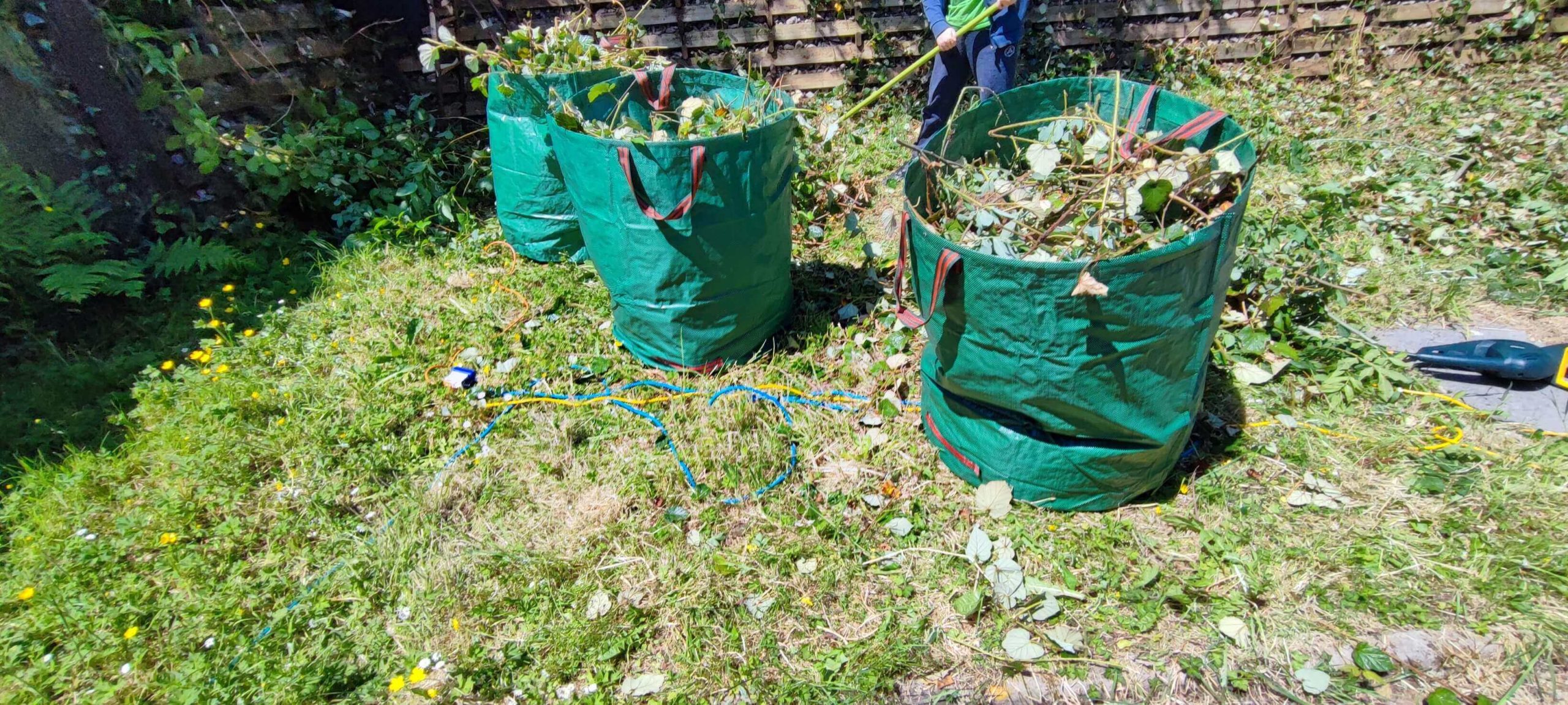 Green Waste Removals Putney SW15