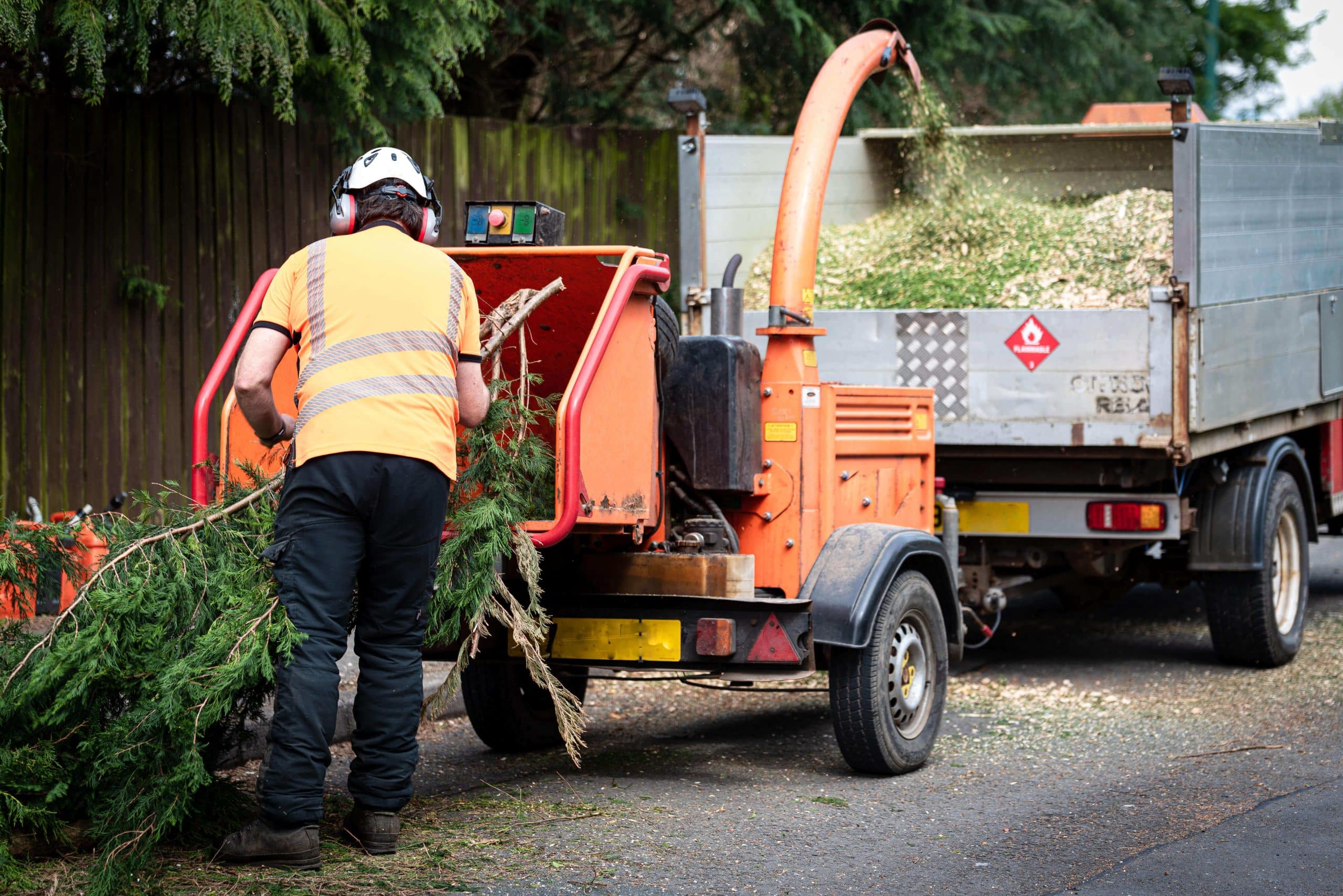 Tree Stump Grinding/Removal Putney SW15